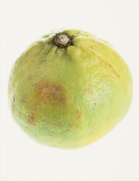 精油护肤独一无二的选择,挑护肤品去哪里看