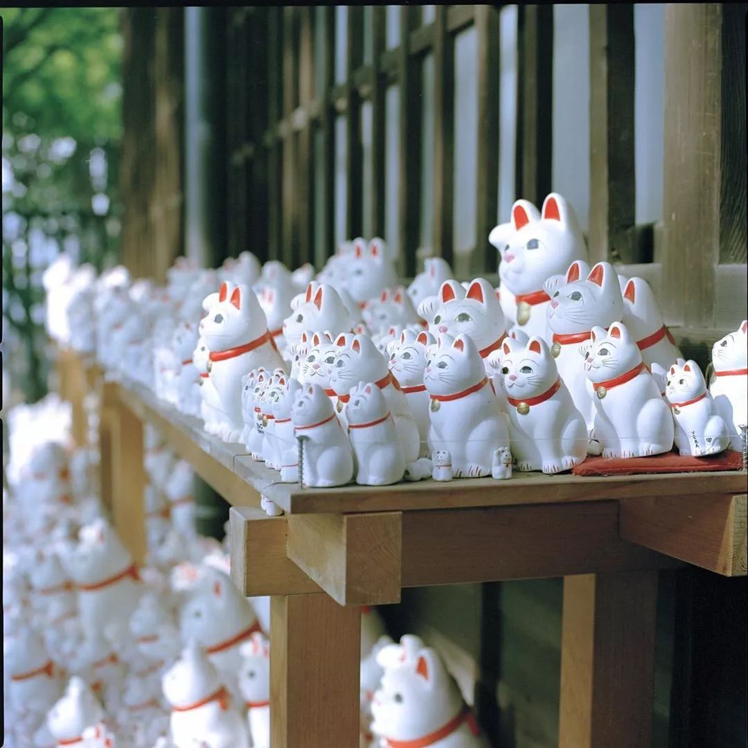 东京自由行攻略详细版,东京自由行全攻略