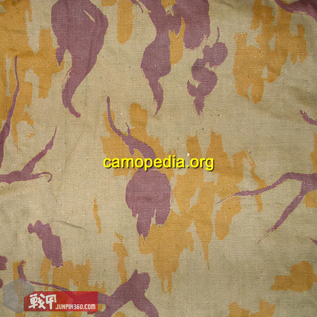 消失的军队有哪些,消失的军团完整版