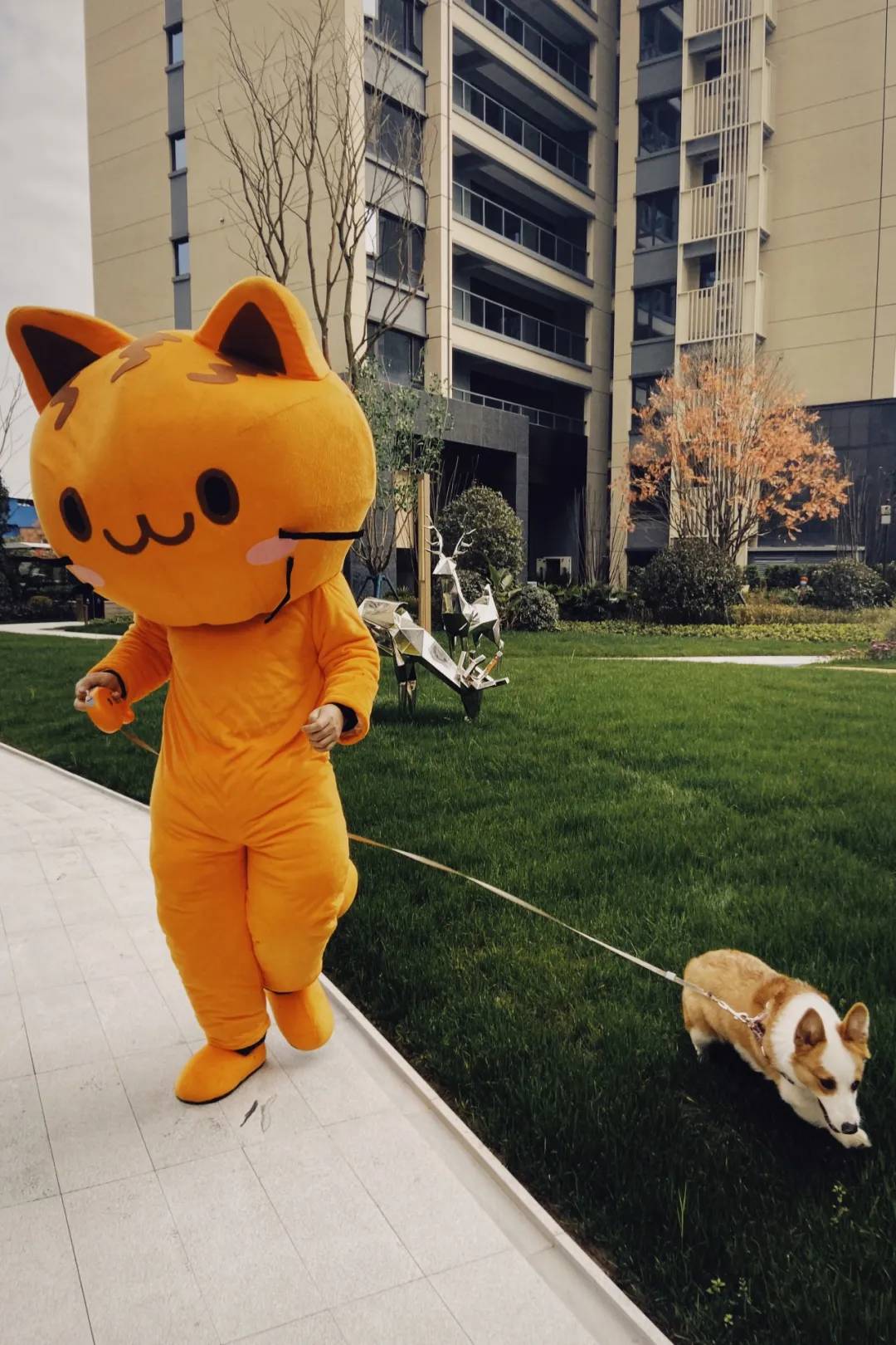 封印启示录我们需要什么房子,奈斯启示录房子要求