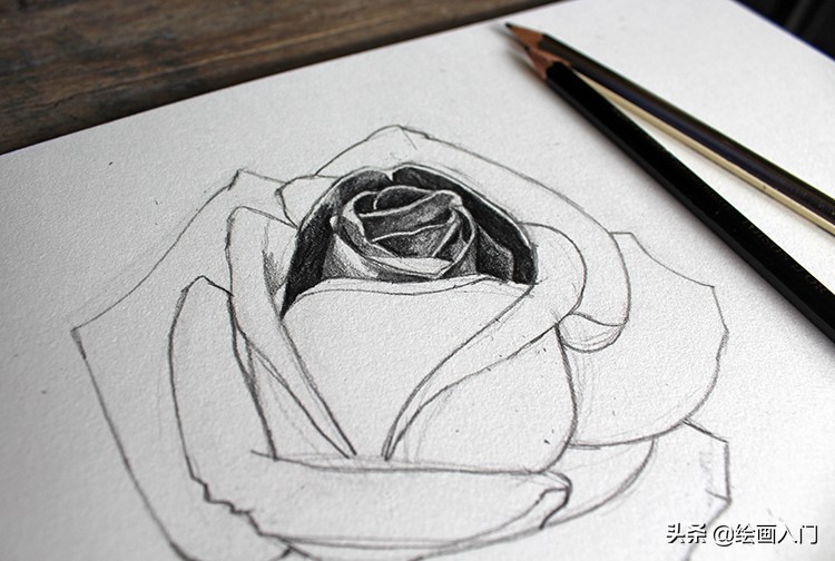 铅笔画玫瑰花黑色的有一点简单,怎么用铅笔画玫瑰花的阴影高光