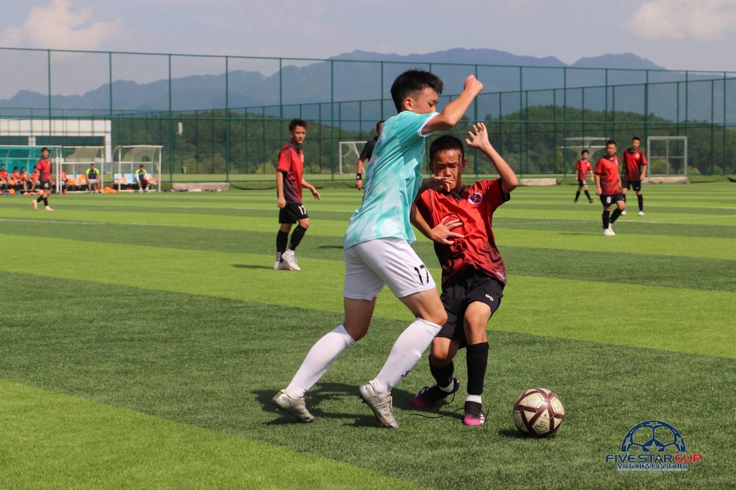 卡尔美五洲杯赛事,卡尔美星耀五洲杯直播