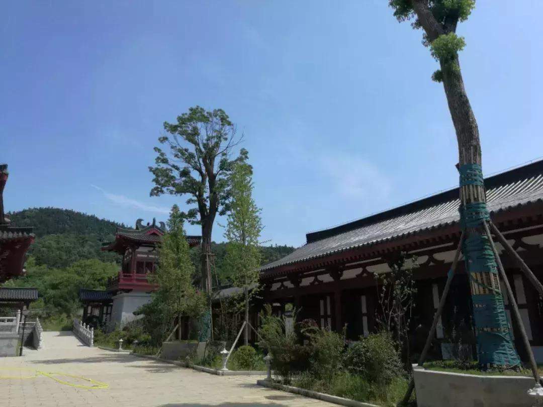 大王山桐溪寺,百年前长沙桐溪寺