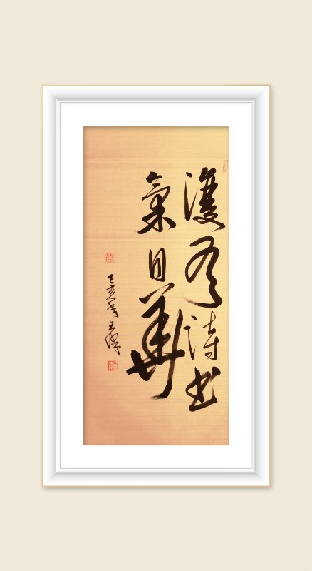 巜以苏轼之名，品味宋代极致美学》——王伟书法之十五