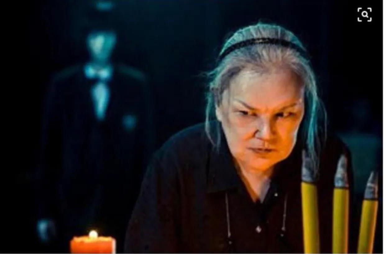 明星整容和不整容老去有什么区别,自然老去和整容明星的对比