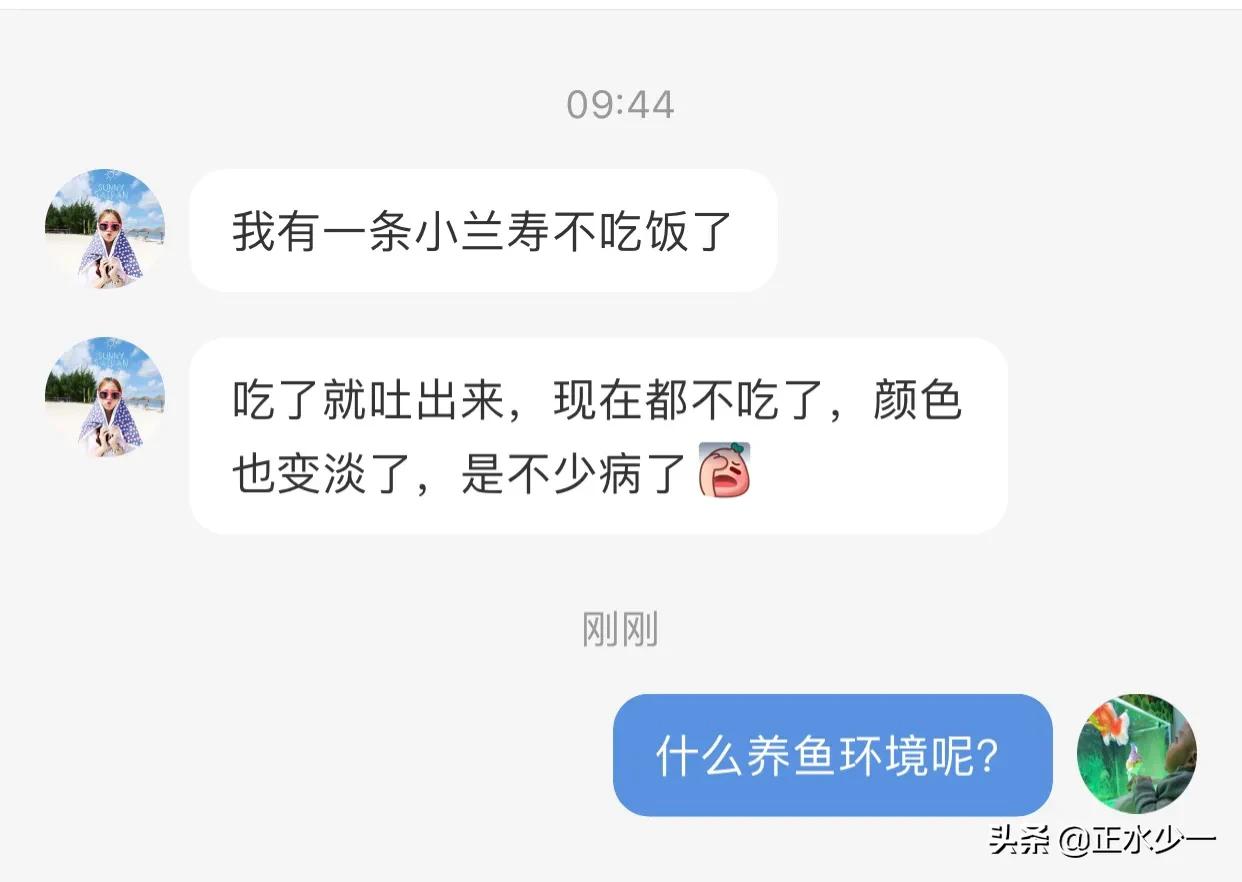 治疗鱼病什么药最好,治疗鱼的最好方法