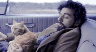 朴树许巍他们的歌属于什么风格,许巍朴树民谣歌曲