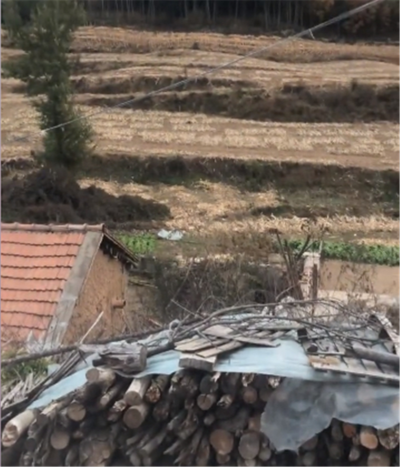 蔡萝莉爆红视频,蔡萝莉变御姐的视频