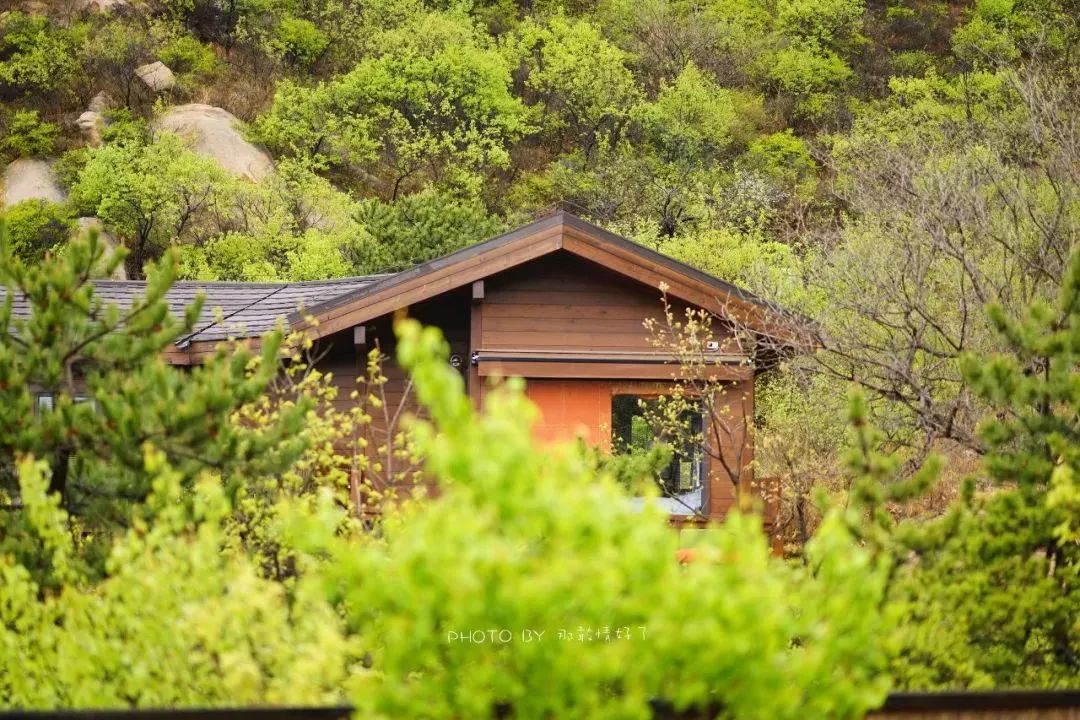 京郊童话树屋,京郊最美童话树屋