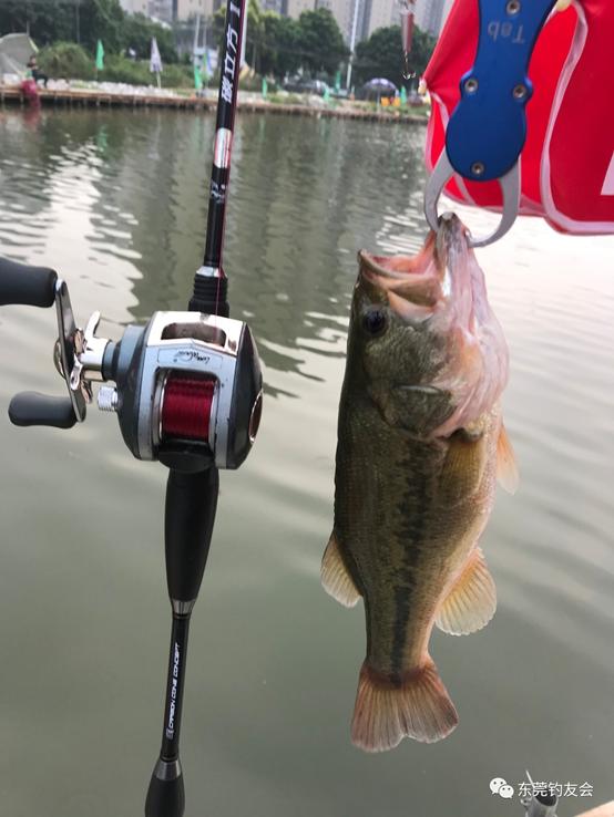 做客《王牌驾到》用坚持完成实战测评拍摄，碳立方三代真的不错