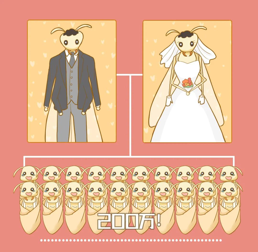 是谁在敲打我窗段子,是谁在敲打我窗片段