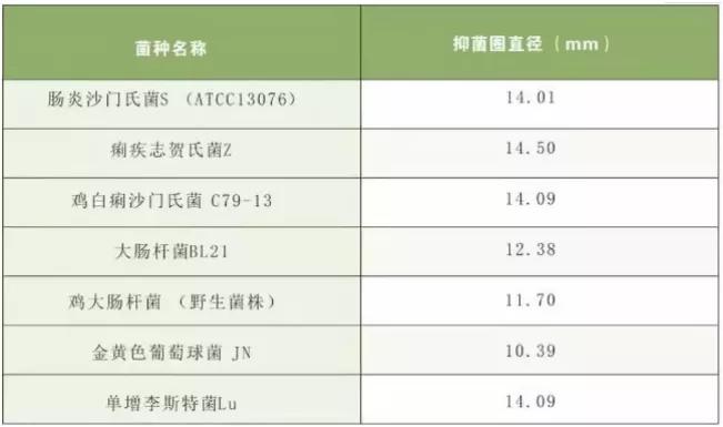 蛋鸡输卵管堵塞能不能下蛋,产蛋鸡输卵管炎特效药
