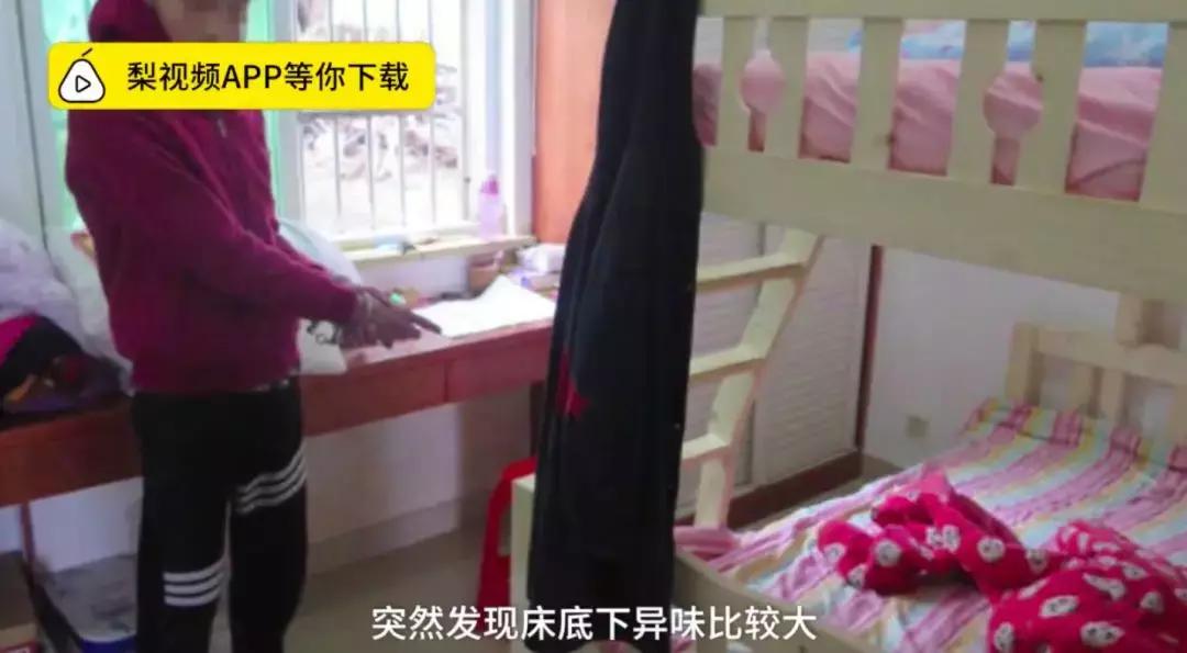 2019年奇葩的沙雕新闻都有哪些,2018年外国奇葩沙雕新闻