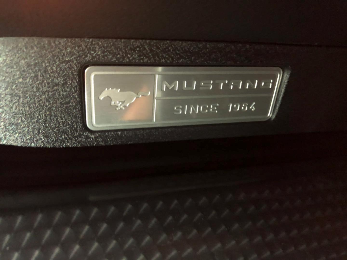 野马还是野驴,野马2.3t小野驴