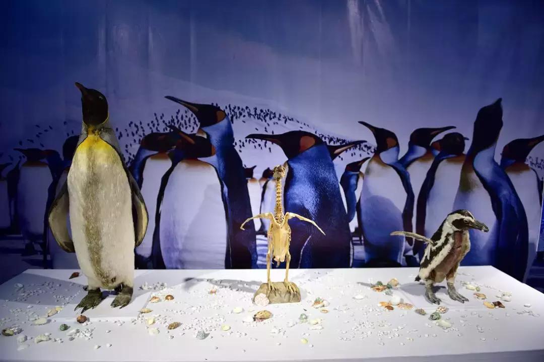 武汉人民的福利,武汉人民幸福满满