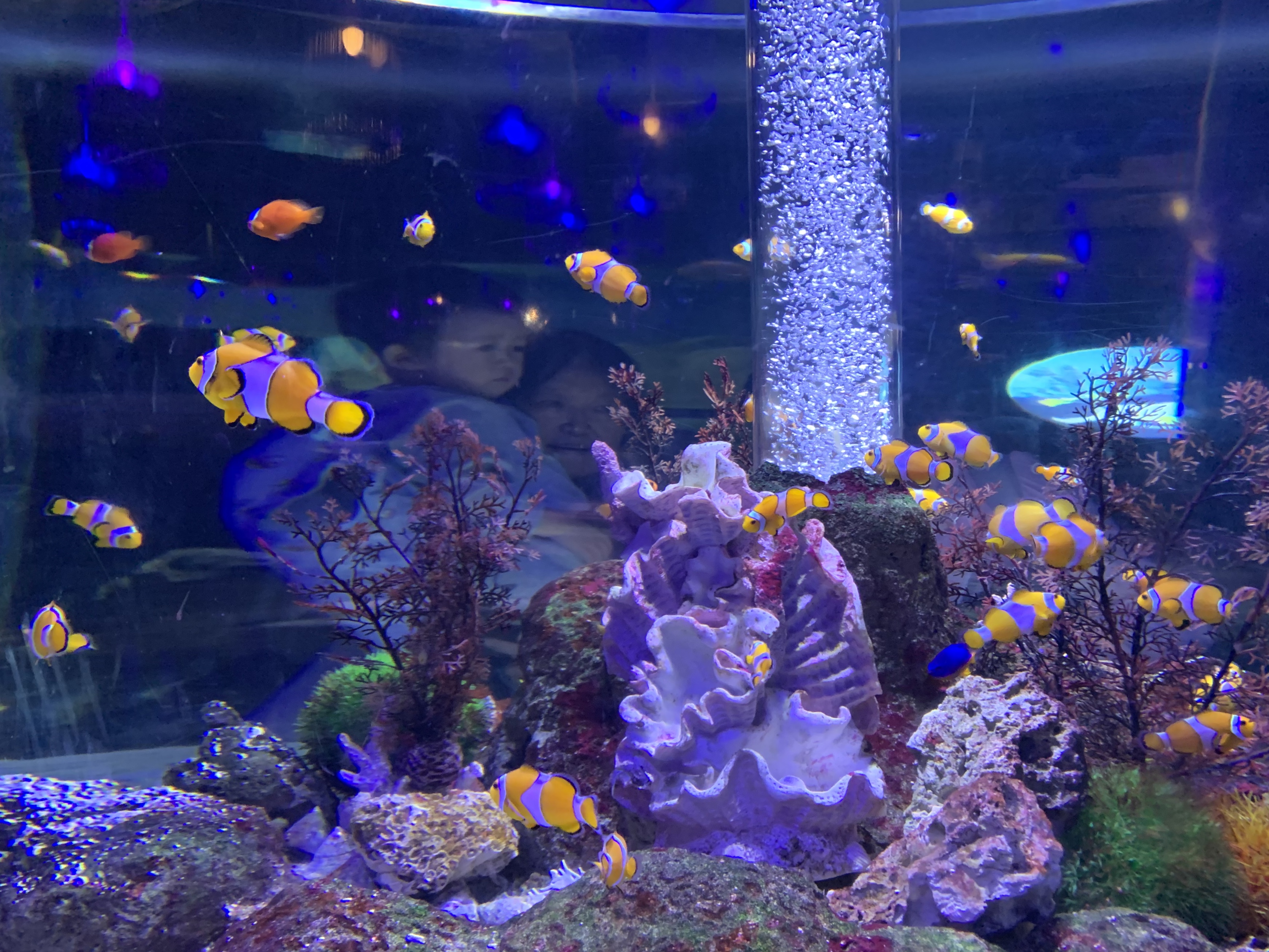 北京富国海底世界周围景点,工体富国海底世界游览攻略