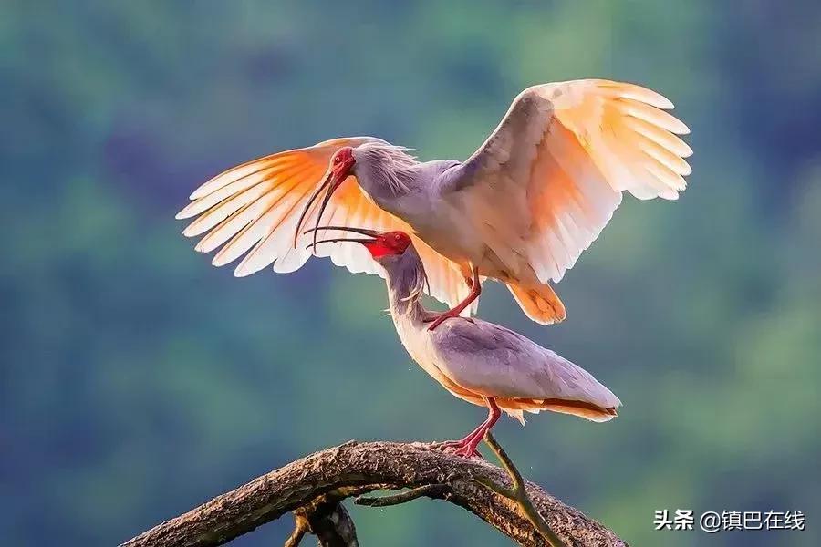 汉中周边踏青的好地方,四月汉中春天踏青的好去处