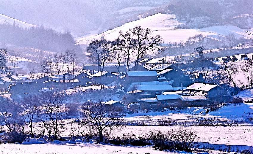 东北人受不了南方的冷吗,为什么北方人冬天喝冰水