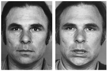 facs的全称是什么,facs面部编码系统