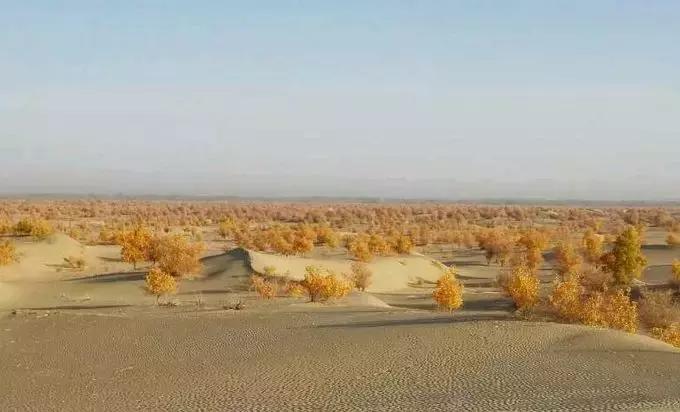 全疆最美公路排名,新疆五大高速风景