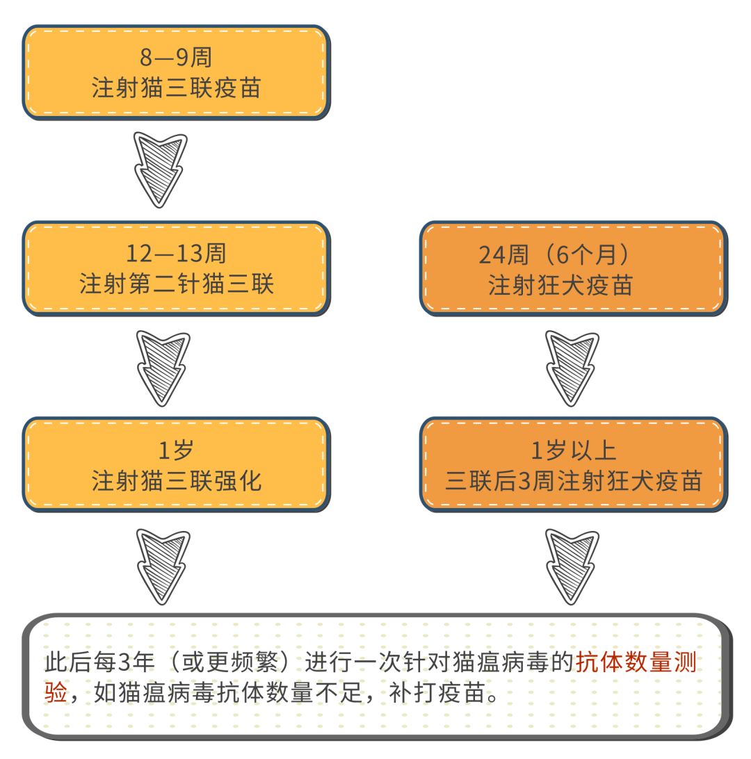 给宠物打疫苗需要什么资质,宠物每年都需要打狂犬疫苗吗