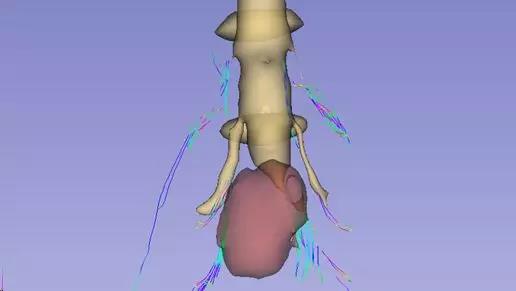 腰腿疼是哪些经络阻塞,腰囊肿疼是怎么回事