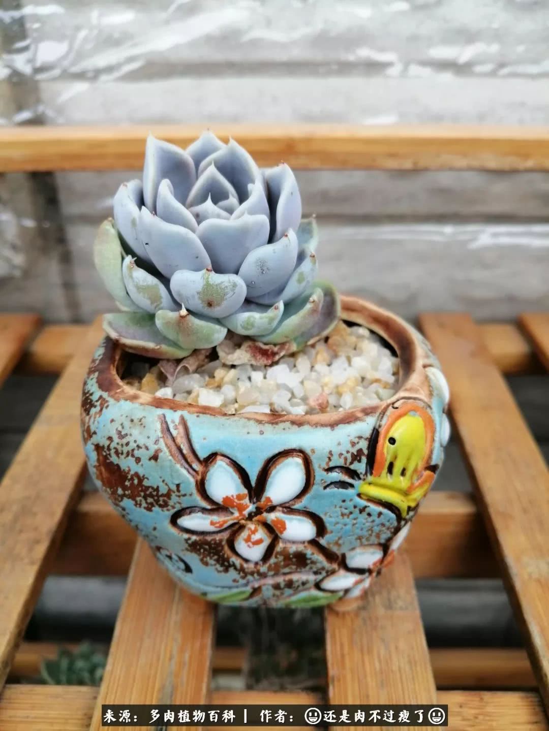 日照弘一法师,日照法师请师父