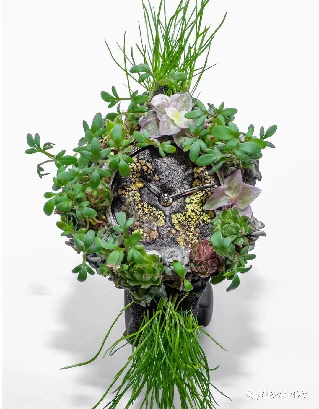 烦死了！戴了总被追着问牌子，这些“奇奇怪怪”的表你想不想要？