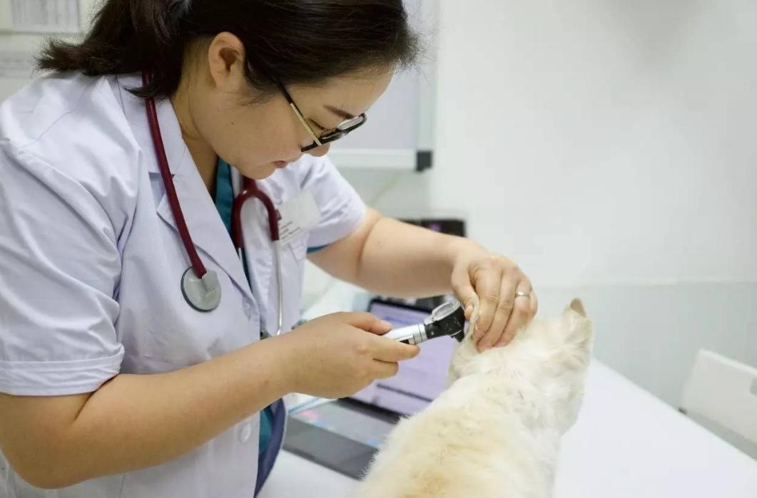 未来有发展潜力的职业,未来10年紧缺的专业人才