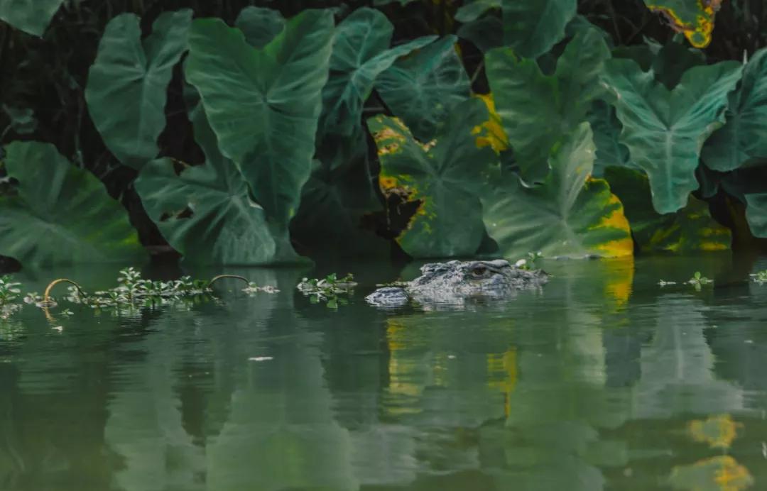这个微笑国度,见人就夸漂亮,300元就能在天空滑翔