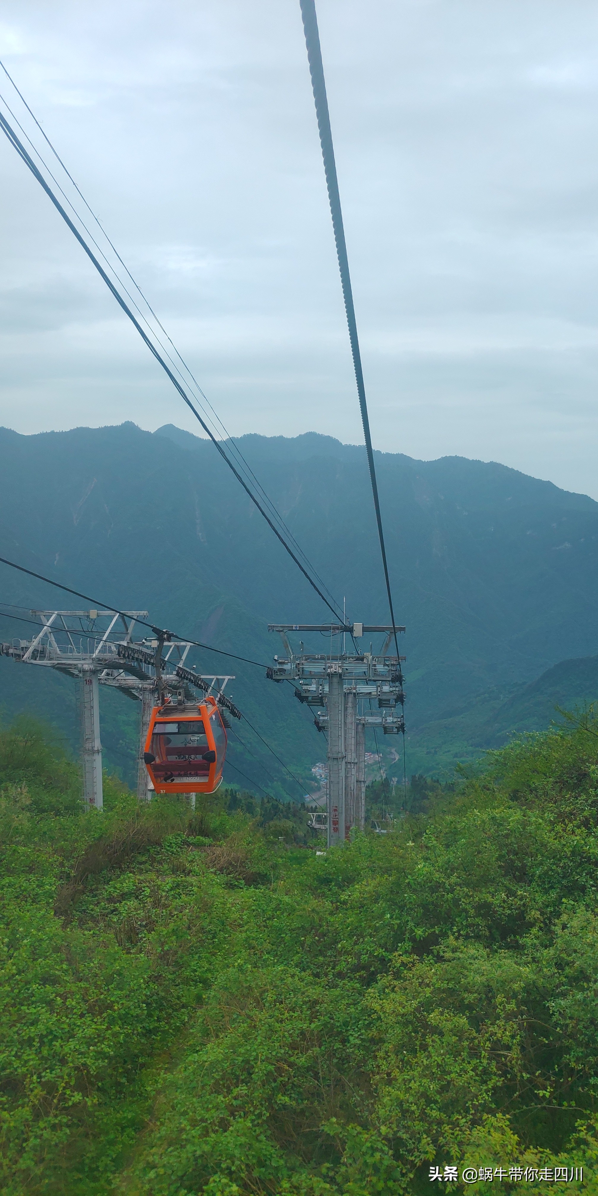 成都去西岭雪山两天一夜旅游团,成都出发雪山旅游