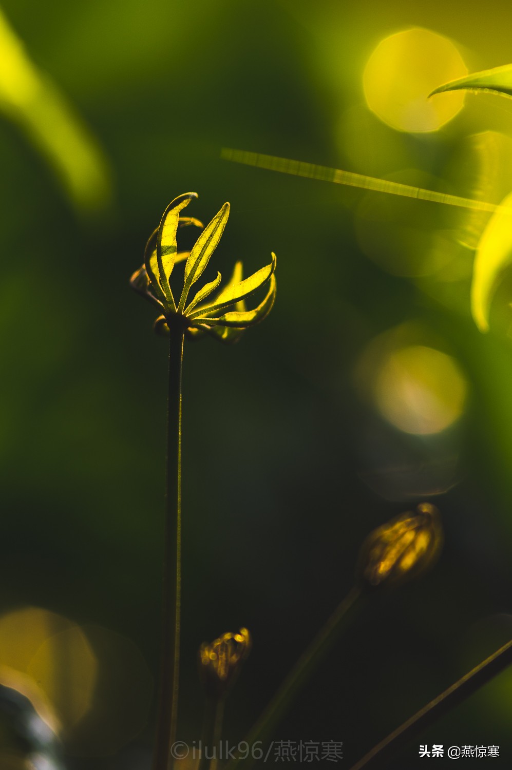 宾得相机配理光的镜头,宾得理光镜头推荐