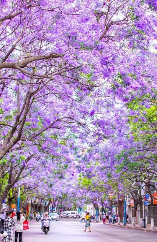 戴口罩的春节,戴口罩的冬天过去了