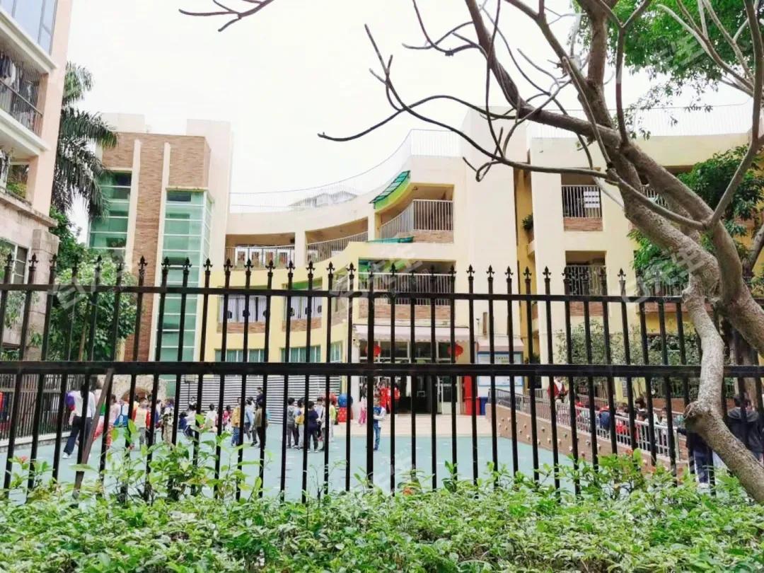 前海北最好的小区，总价500万就能上车