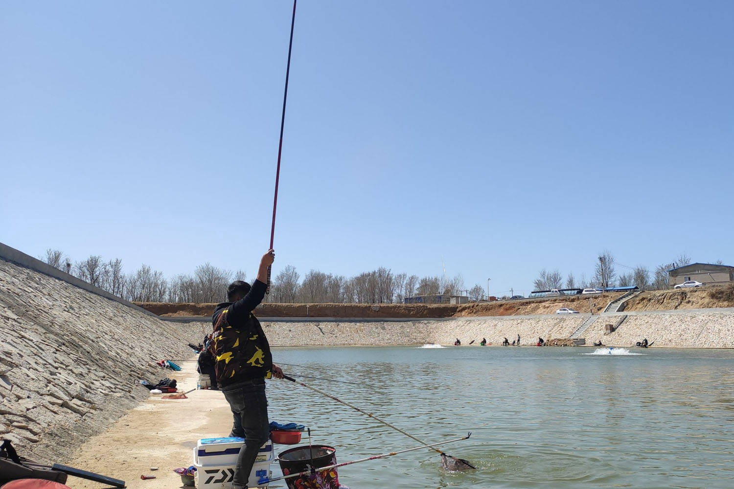 用玉米野钓鲤鱼鲤鱼不开口怎么办,为什么鲤鱼不开口