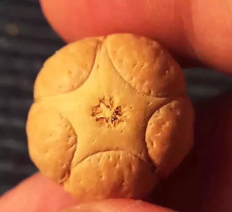 菩提最值得入手的几种,十种不能玩的菩提