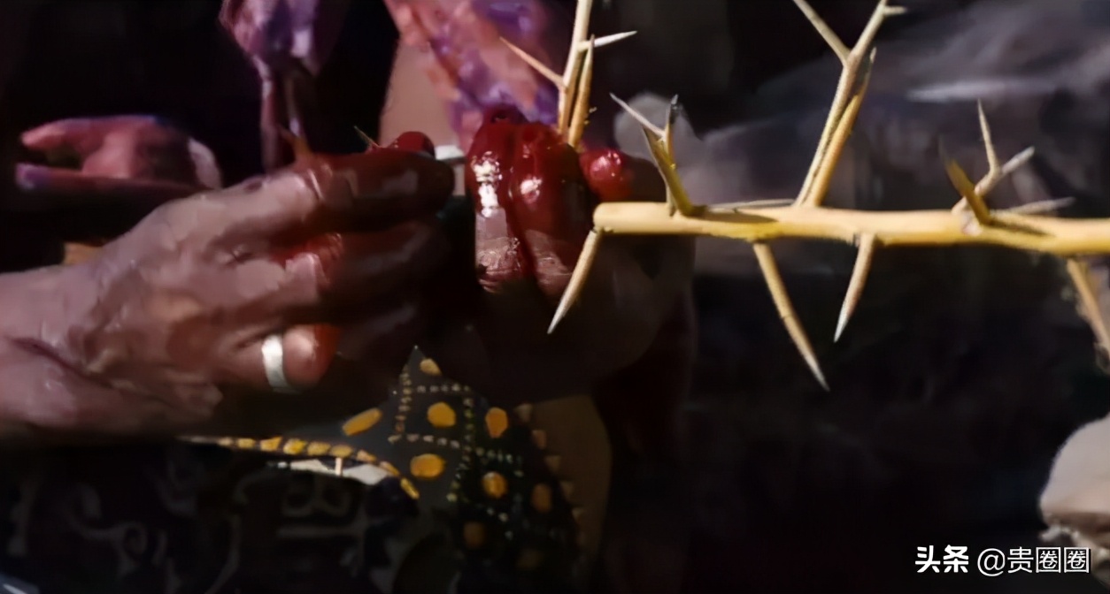 非洲黑人超模,曾被性侵、割礼、逼婚,却活出璀璨人生