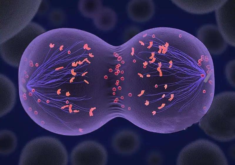 隐匿且沉默的杀手——稽留流产