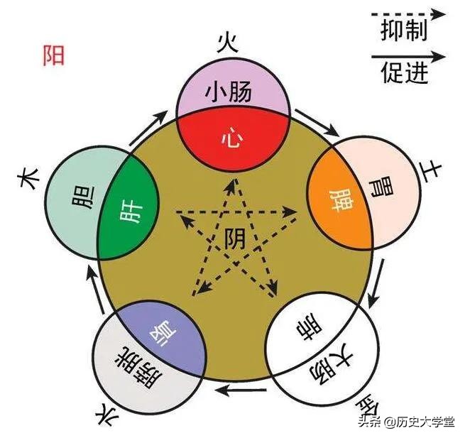 中医来源于道家而非佛教,中医起源于易经还是道家