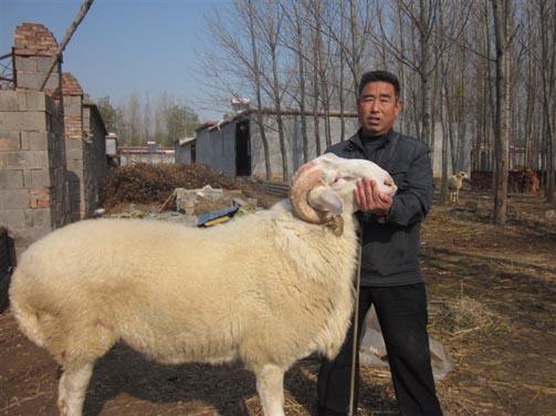 90后小伙带领村民养殖致富,回农村搞养殖是不是死路一条