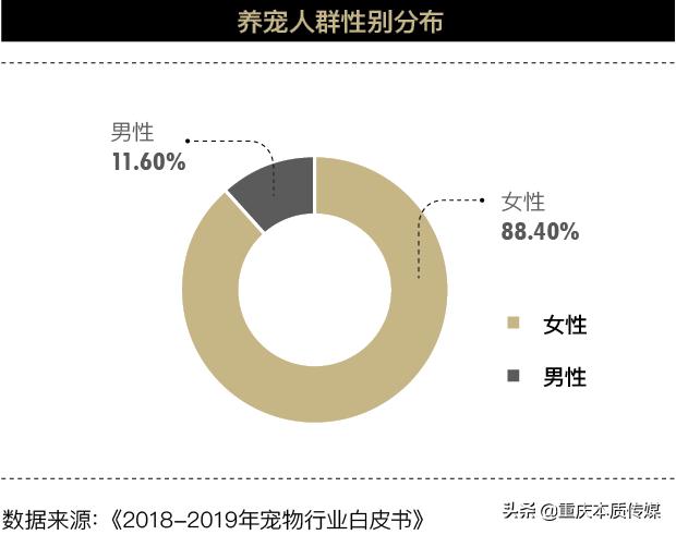 当宠物碰到外卖,社交宠物电商