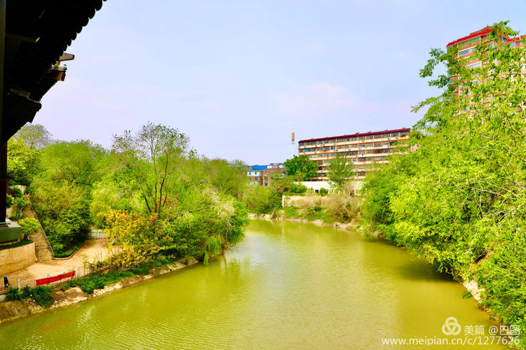看洛阳牡丹花卉节,洛阳古都牡丹花展