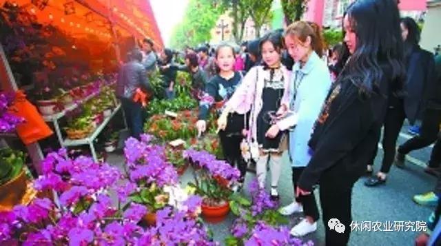 致富果的产业振兴梦,莫让脱贫变为懒惰的借口