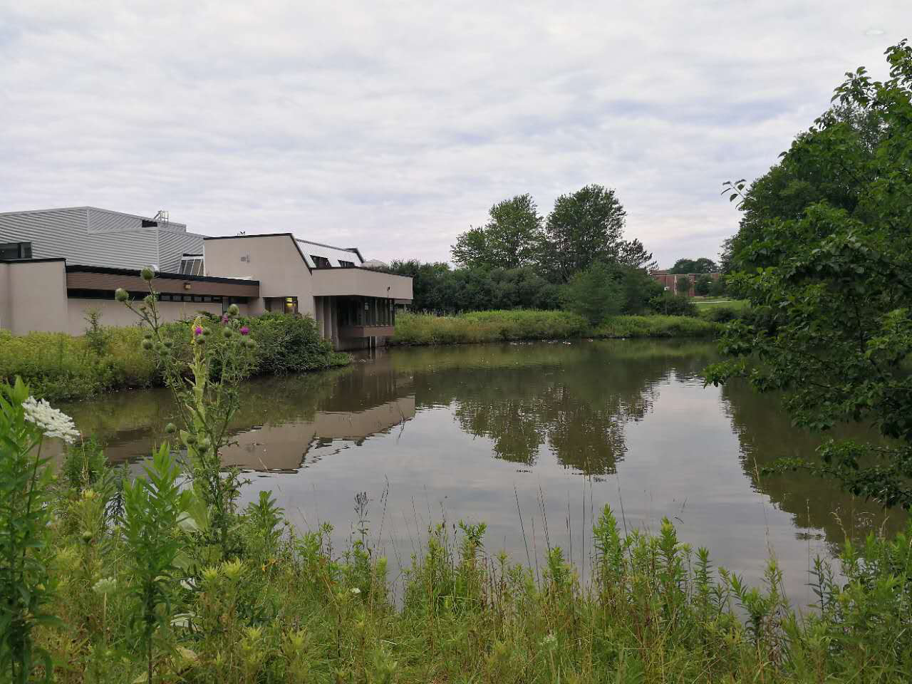 加拿大留学生安全,留学安全注意什么