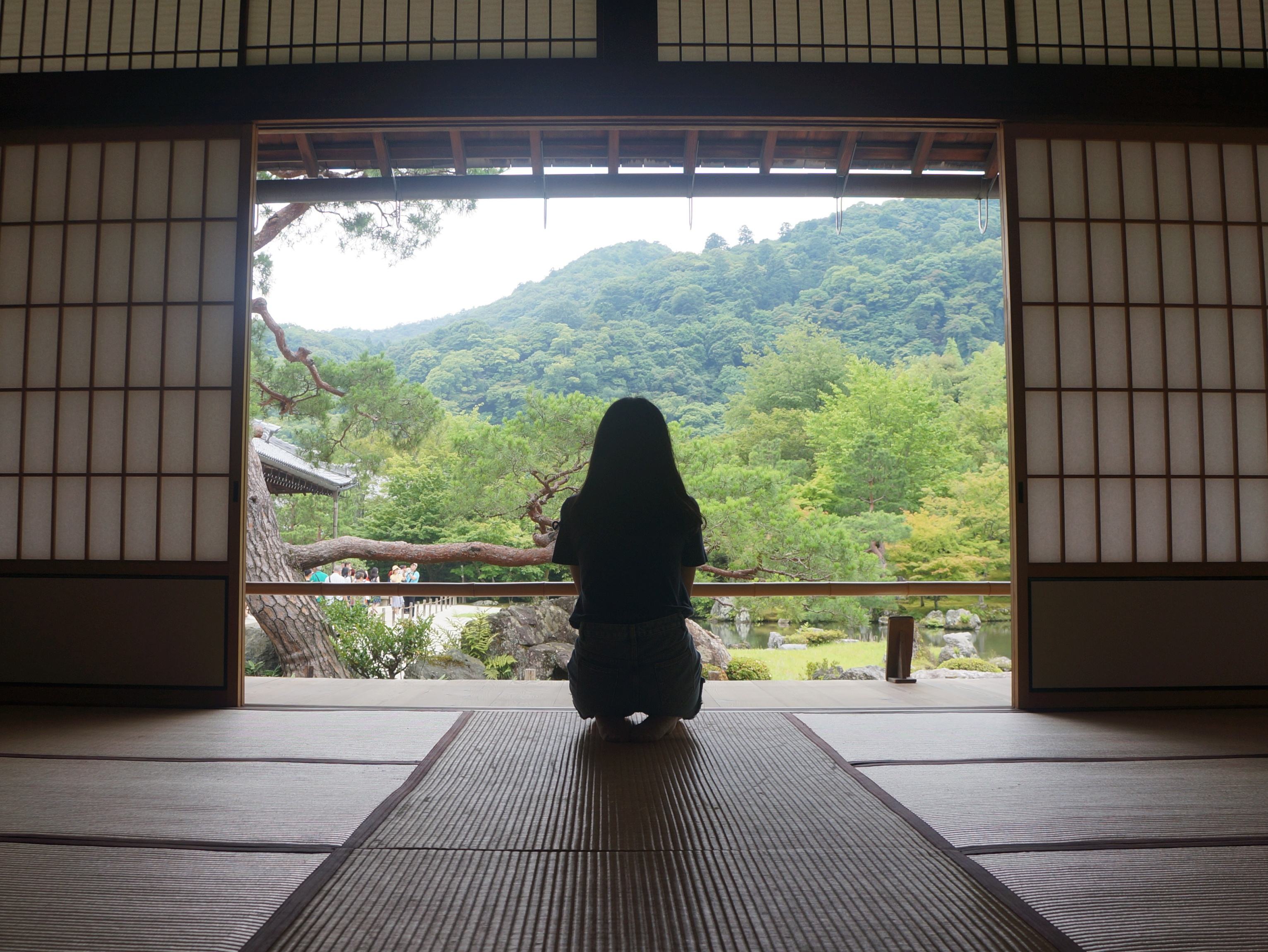 世界科学家想让你知道的大脑功能,训练大脑智能的4种简单方法