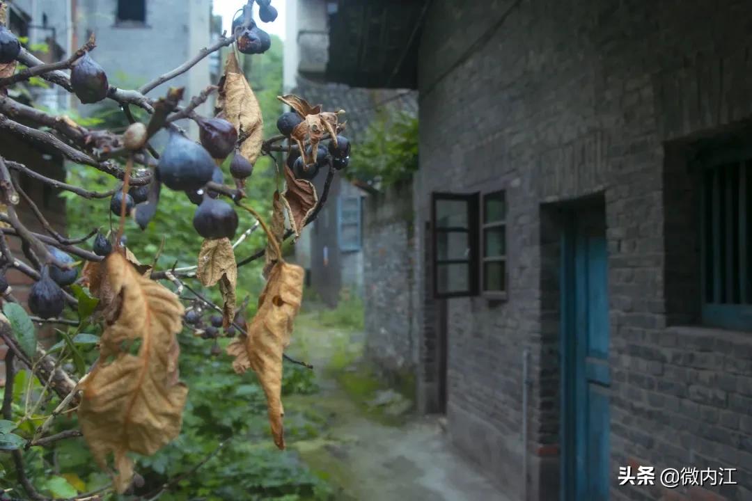 你好四川完整版,你好四川录音