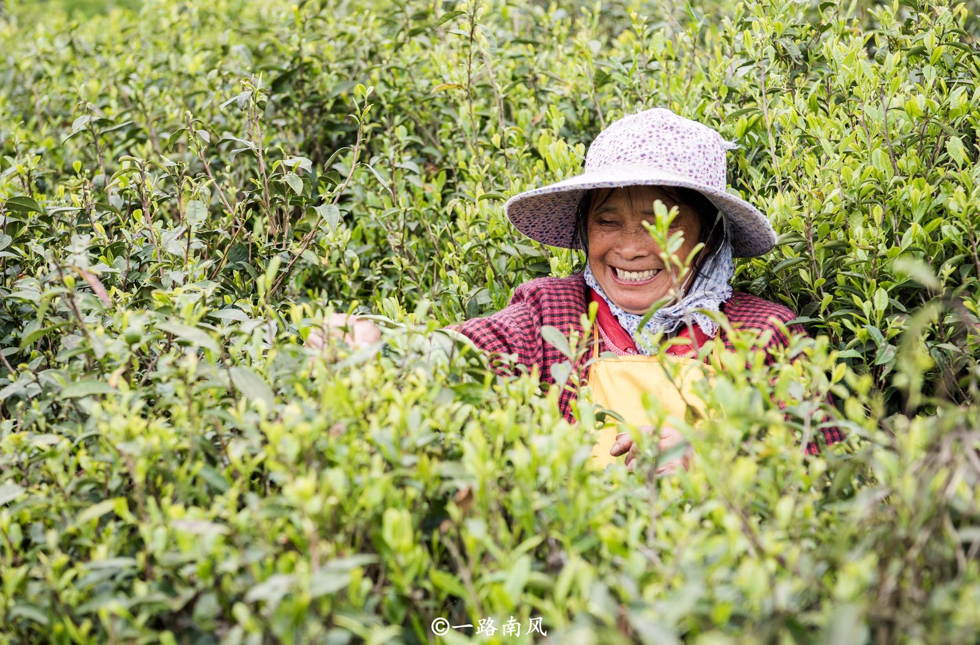 贵州旅行大山深处,旅行风景贵州