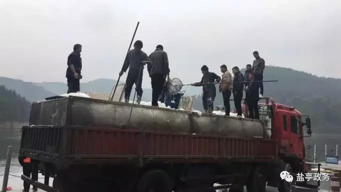 沃野千里风景图,山乡巨变之美不胜收