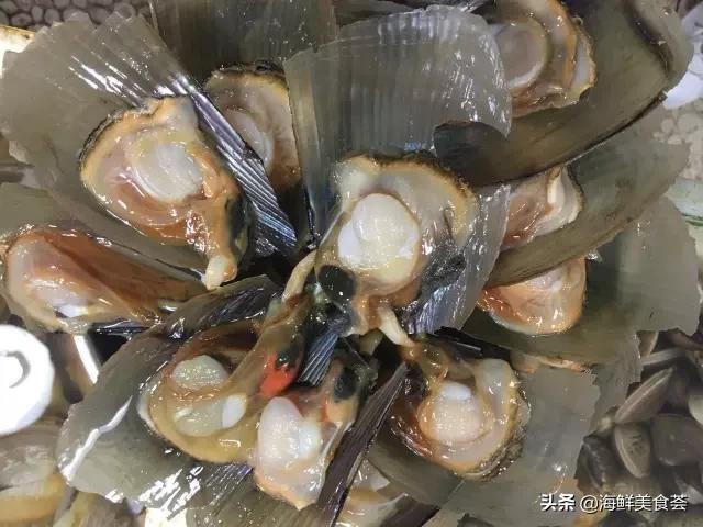 常见的鱼虾蟹等海鲜的认识,虾蟹类海鲜大全