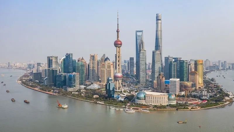 野心彻底暴露完整版,野心曝光